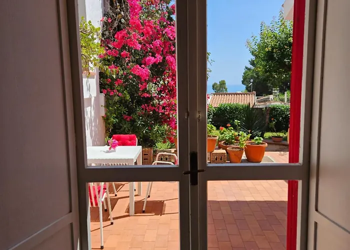 Matteo * 斯卡莱阿